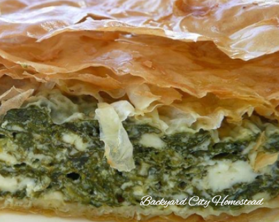 Homemade Greek Spanakopita